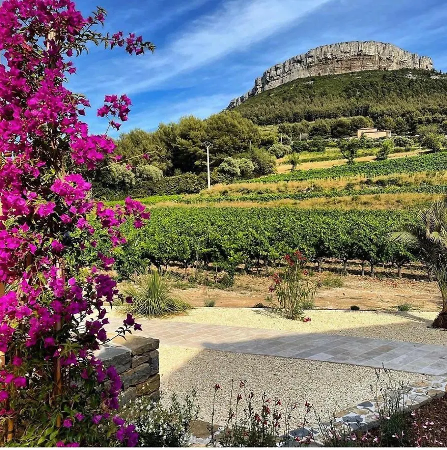 Bed and Breakfast Côté vignes cassis 0*,